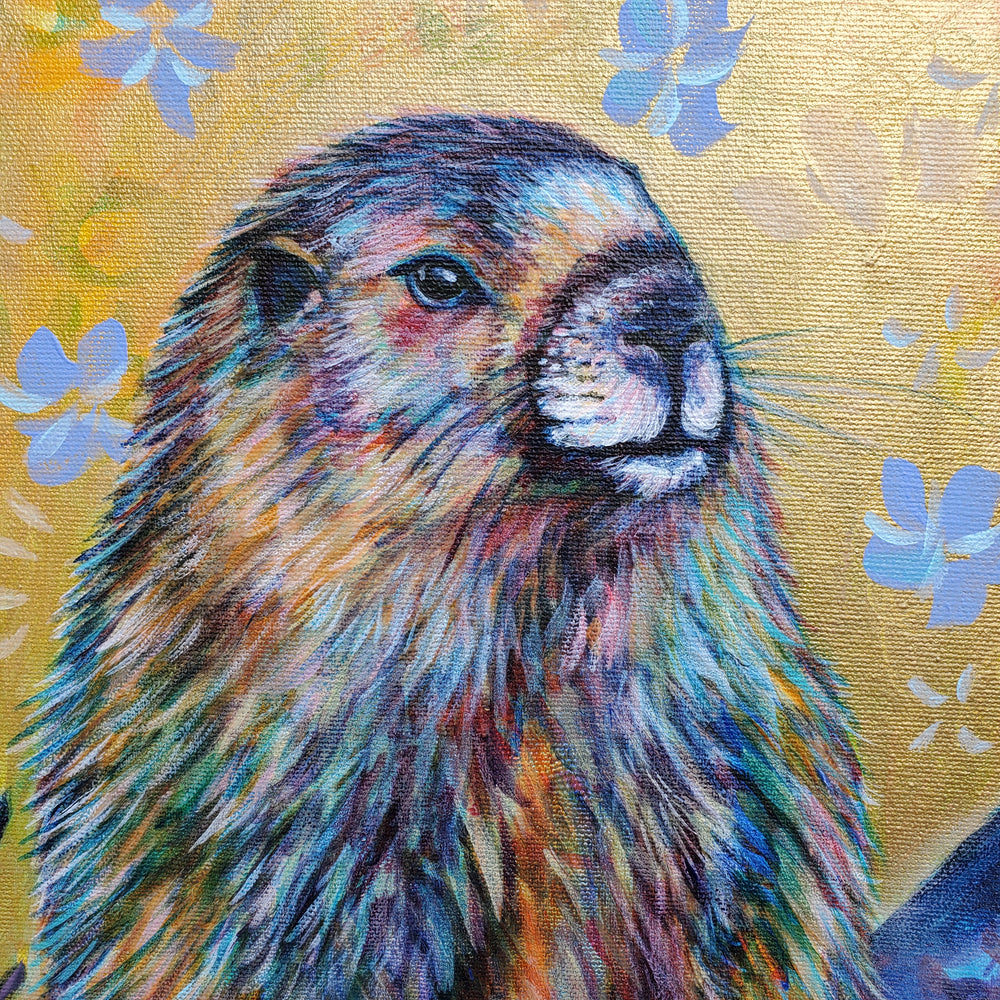 
            
                Load image into Gallery viewer, &amp;quot;The Golden Marmot&amp;quot; - Marmot &amp;amp; Alpine Forget-Me-Nots - 16x16&amp;quot;
            
        
