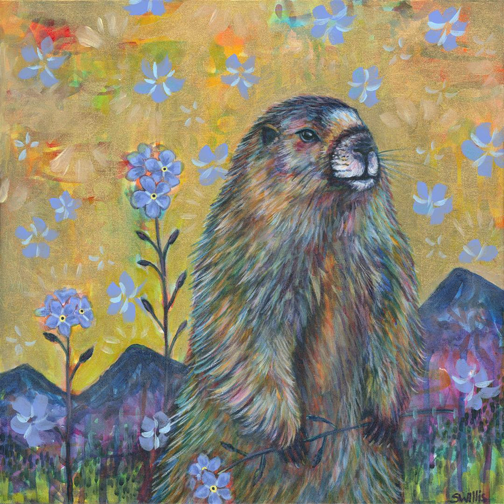Shelby Willis Art