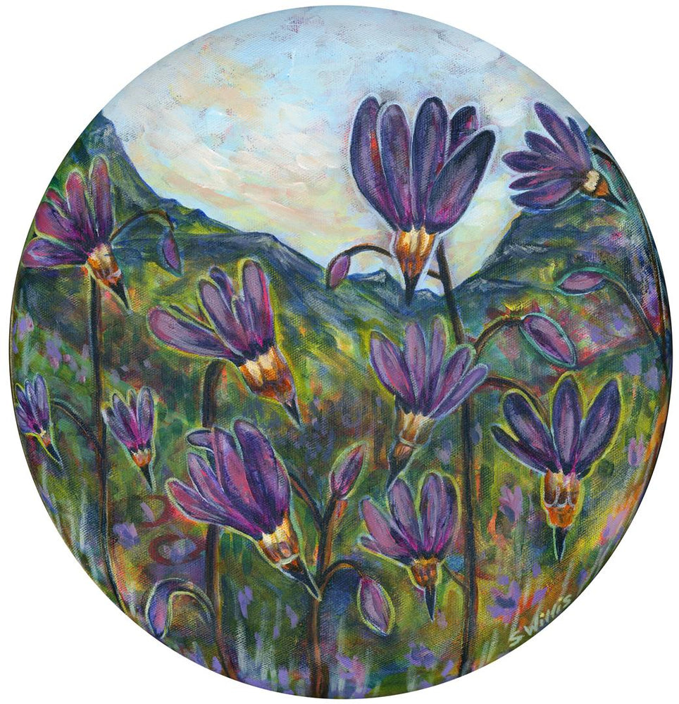 Shelby Willis Art