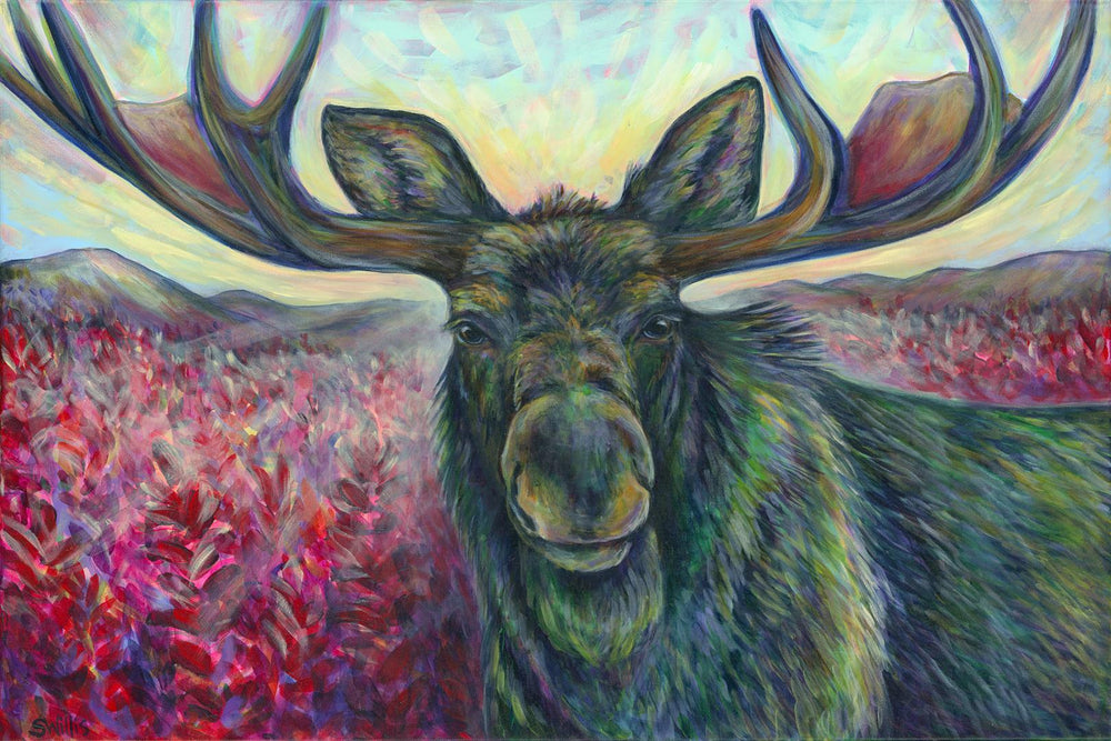 Shelby Willis Art