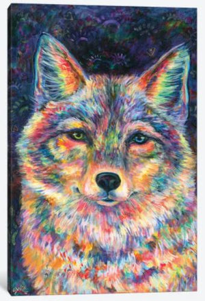 Rainbow Coyote 16x20"